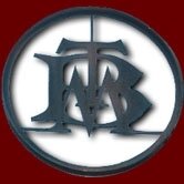 TEST TRAIN BIG THUNDER MOUNTAIN